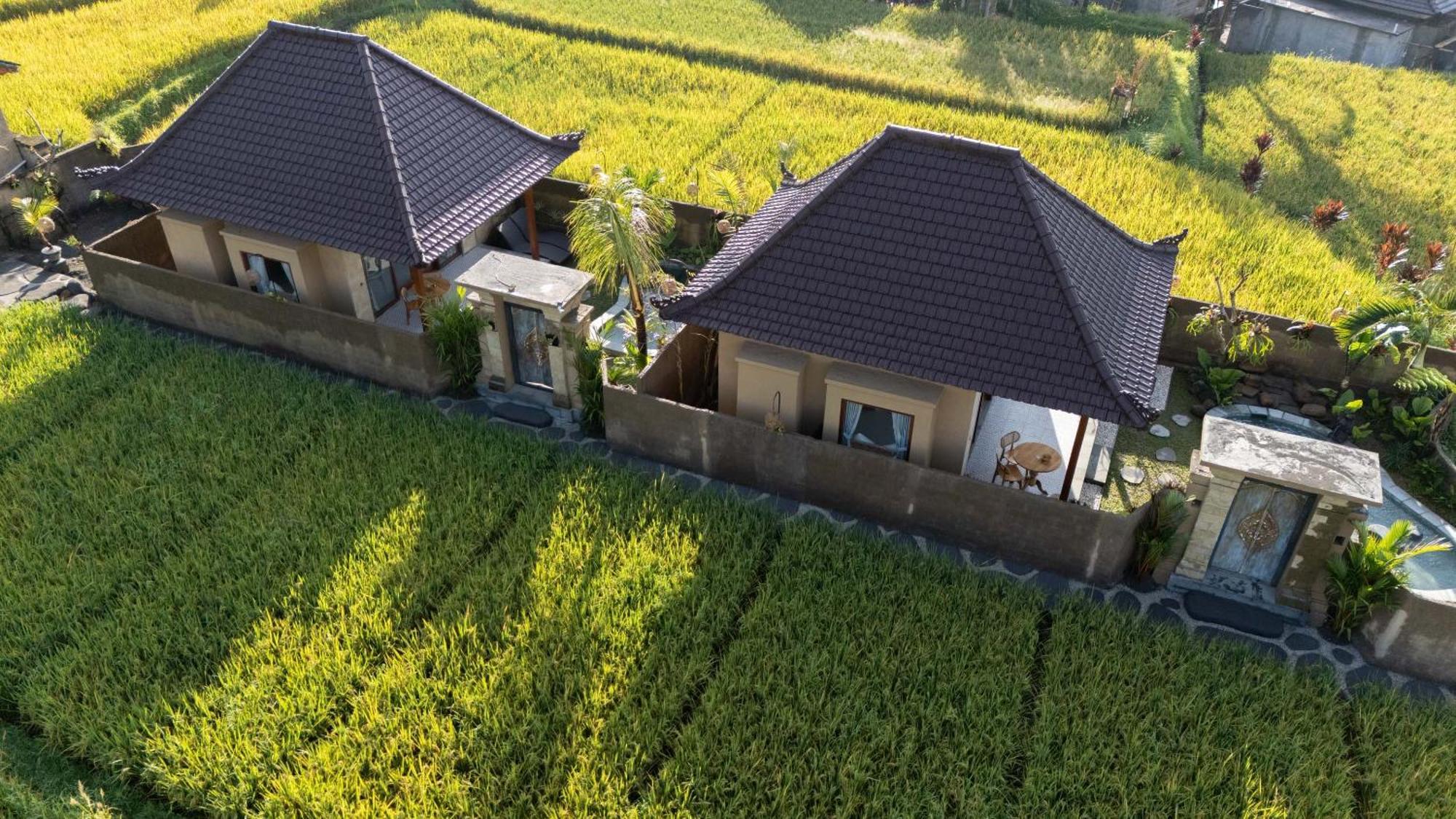 Sawah Sebatu Villa อูบุด ภายนอก รูปภาพ