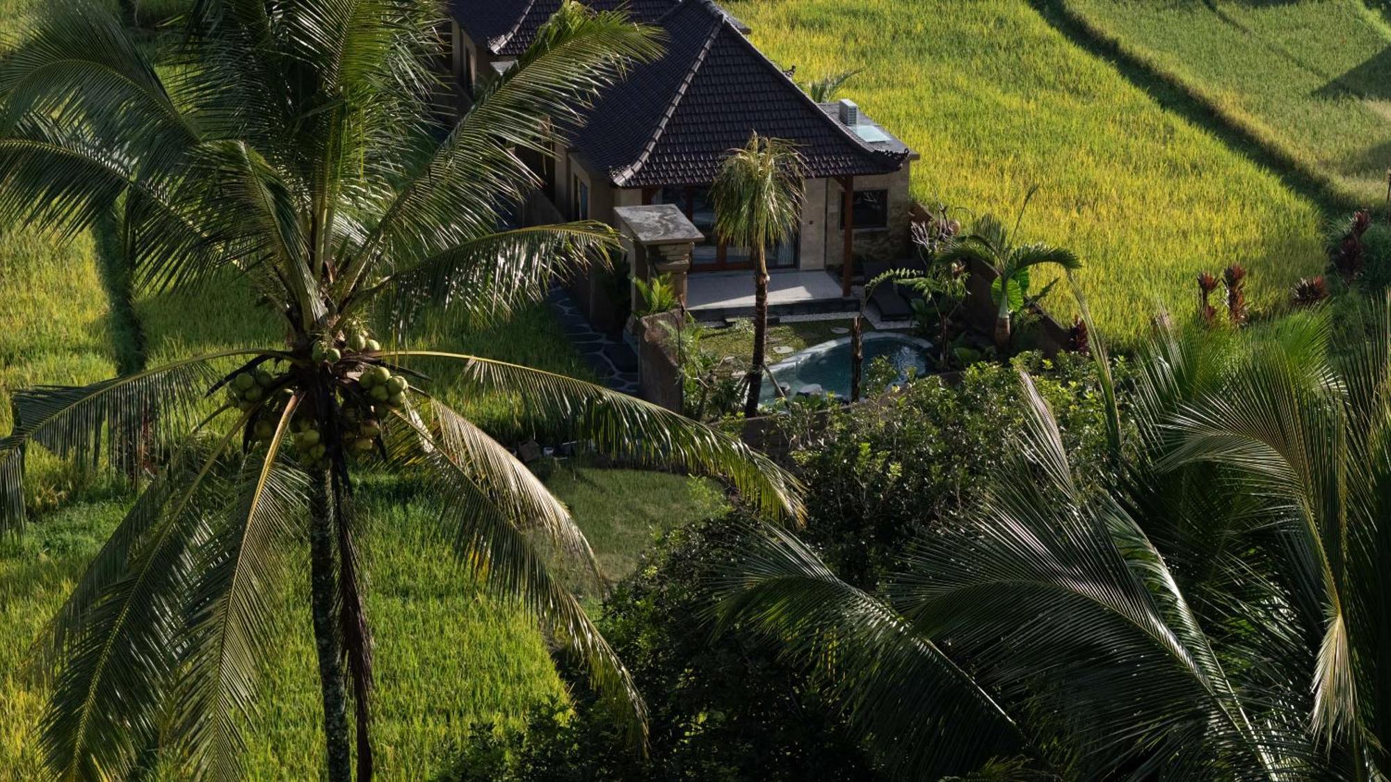 Sawah Sebatu Villa อูบุด ภายนอก รูปภาพ