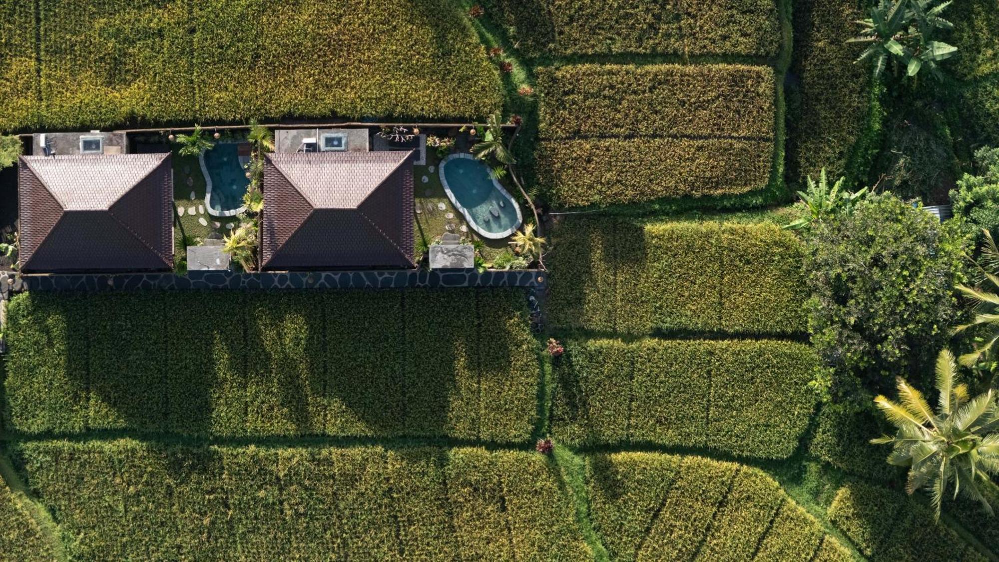 Sawah Sebatu Villa อูบุด ภายนอก รูปภาพ